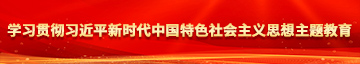 欧美扣逼学习贯彻习近平新时代中国特色社会主义思想主题教育